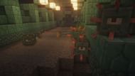 Eye see you! (Image via Minecraft)